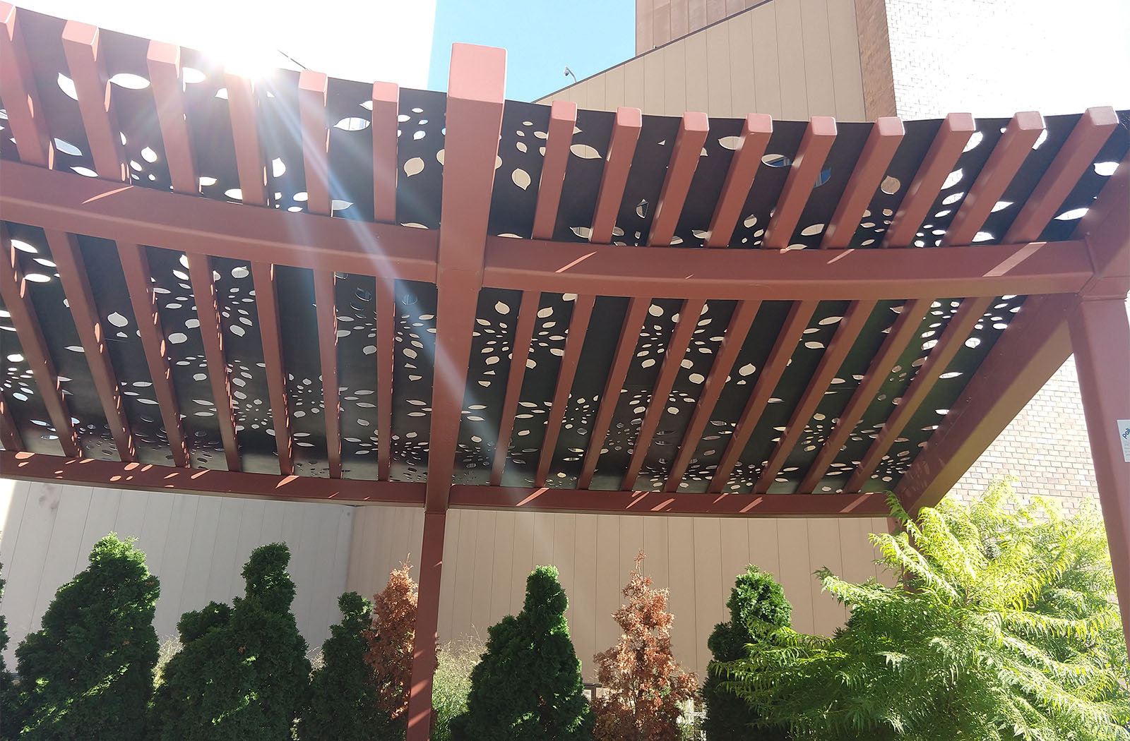 Hilary Grace-xxxxxxb-x-Trellis-Healthcare