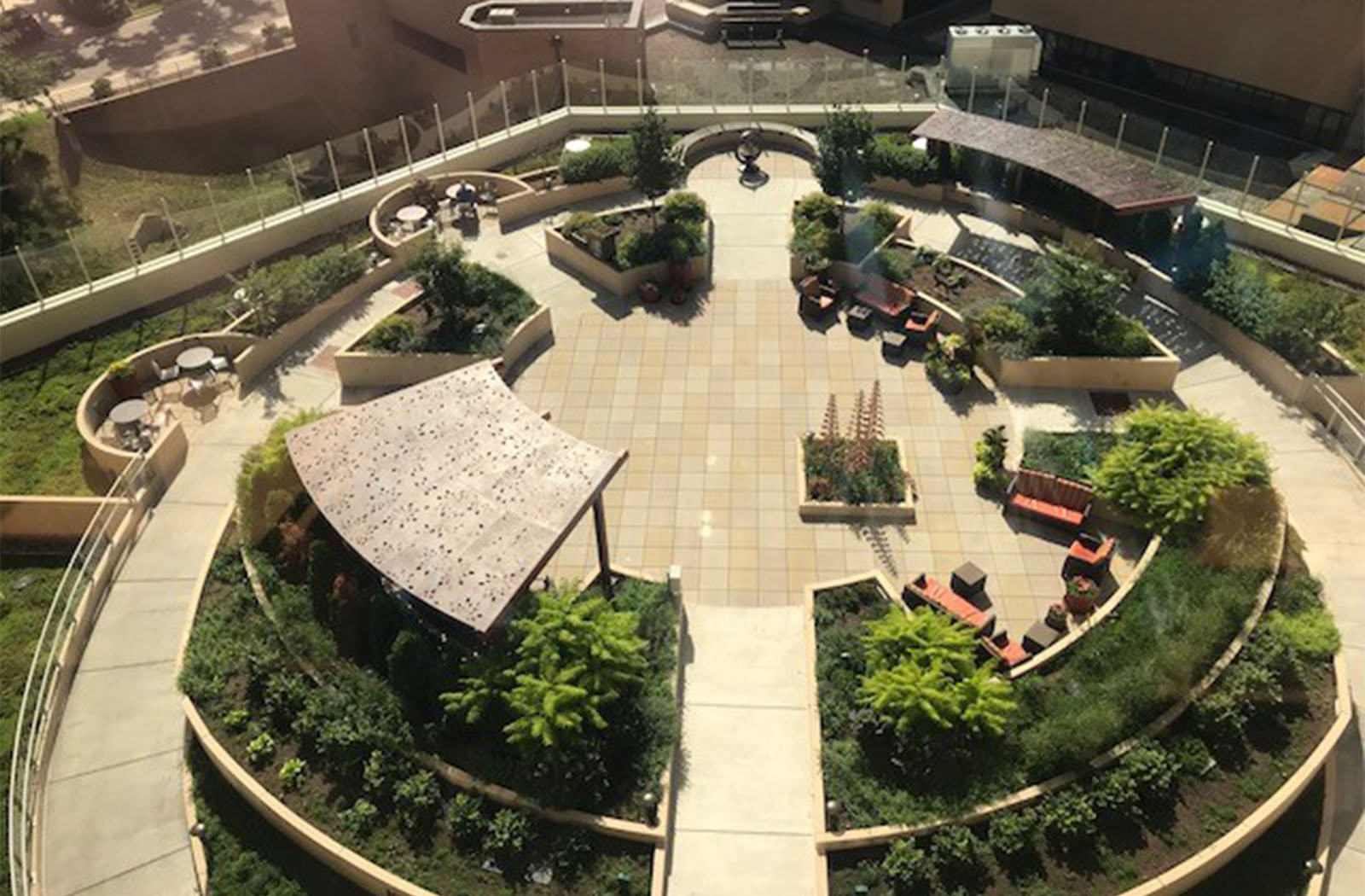 Hilary Grace-xxxxxxc-x-Trellis-Healthcare