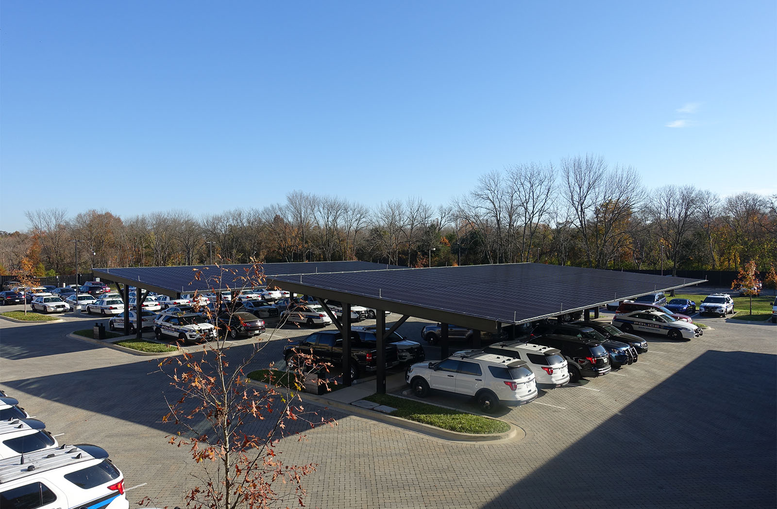 Murfreesboro Police-57780d-x-Plus-Transportation